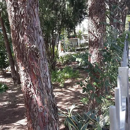 Delle Murge בית כפרי