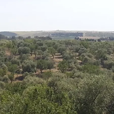 Séjour à la campagne Delle Murge Mariotto